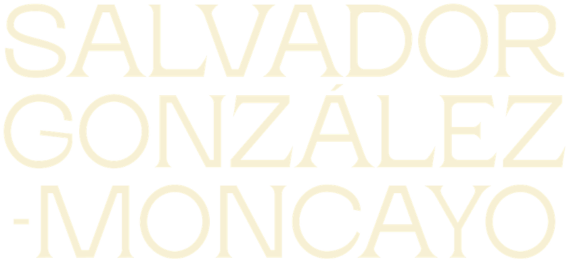 González-Moncayo Abogado